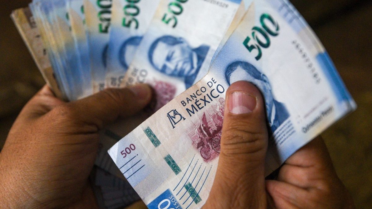 Inegi anticipa aumento de consumo privado en noviembre