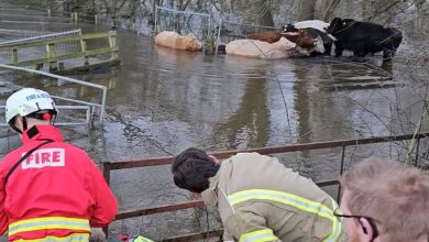 Inundaciones en Inglaterra obligan a evacuar cientos de hogares y a cancelar trenes