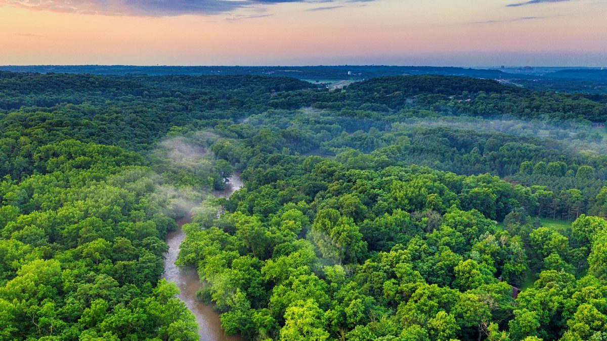 La Amazonía se recupera; deforestación cae a nivel más bajo desde 2018