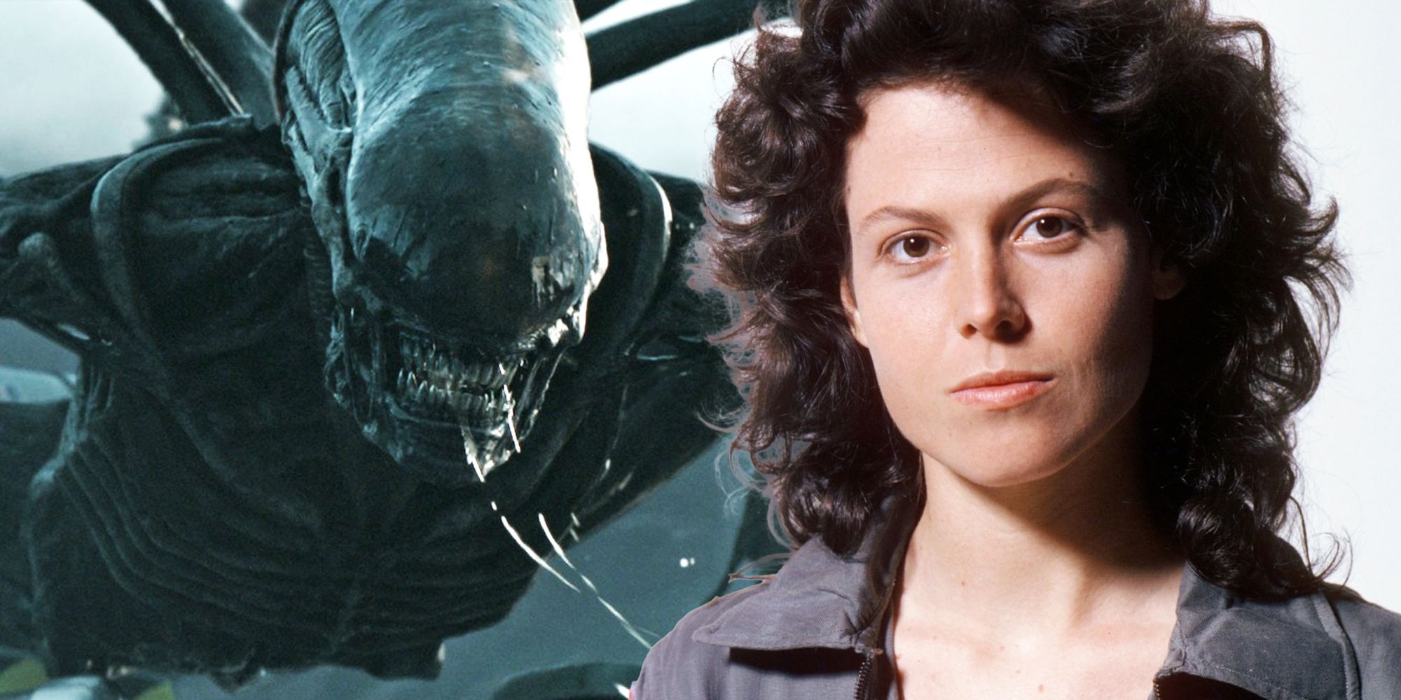 La confirmación de la línea de tiempo de Alien: Romulus revela la manera perfecta para que la franquicia avance desde Ripley