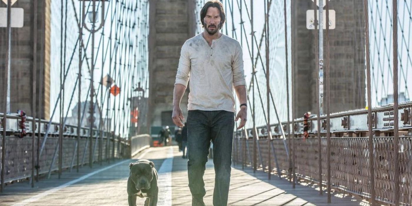 La franquicia de películas John Wick domina la lista Top 10 de Netflix en EE. UU.