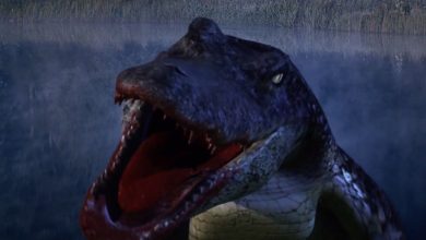 La película de terror Alligator, titulada irónicamente, recibe críticas sorprendentemente positivas por parte de los artistas de efectos visuales