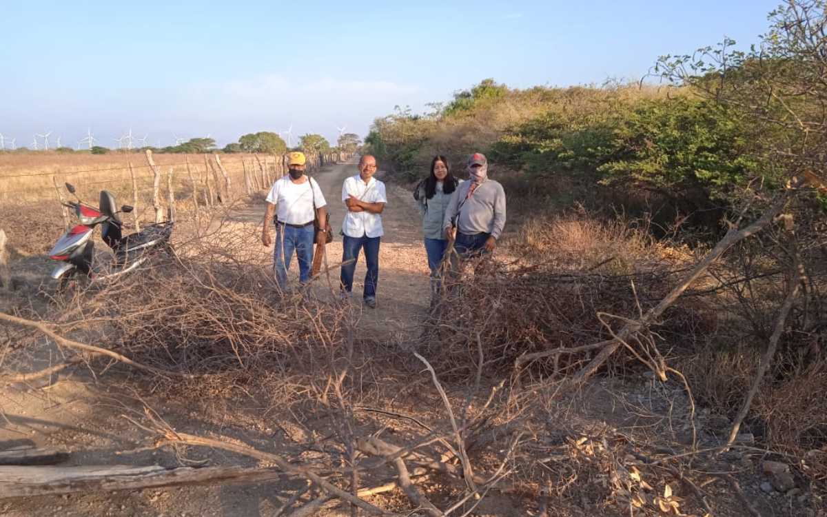 Más de 7 mil árboles talados en Unión Hidalgo para el Tren Interoceánico