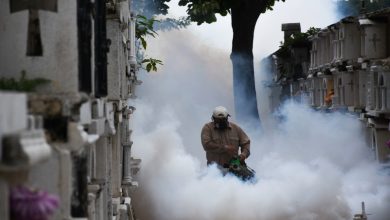 Muertes y casos de dengue se dispararon en 2023