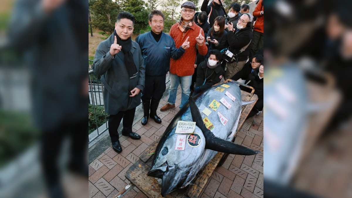Pagan 787 mil dólares por un atún en Japón, ¿Por qué?