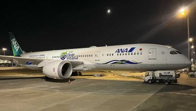 Un avión regresa a Tokio después de que un pasajero mordiera a una azafata