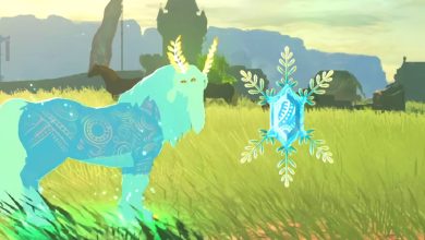 Zelda: TOTK - ¿Existe una recompensa por conseguir cada gema de Bubbul?