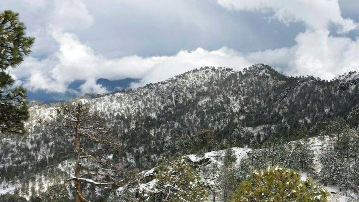 ¿En qué parte de México está el volcán Tancítaro que está ‘reviviendo’?