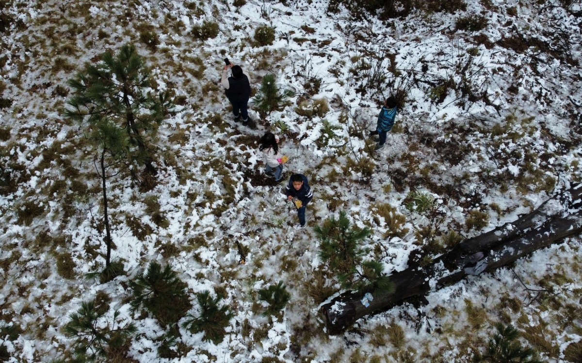 ¡Cuidado! Seguirán bajas temperaturas y heladas en CDMX; sigue estas recomendaciones