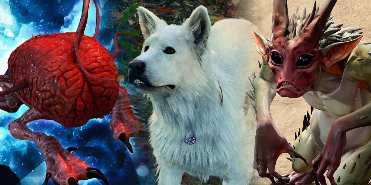 Puedes perderte una de las mejores invocaciones de Baldur's Gate 3 desde el principio