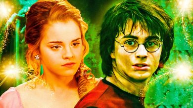 8 cosplays de Harry Potter que alivian la espera del remake televisivo