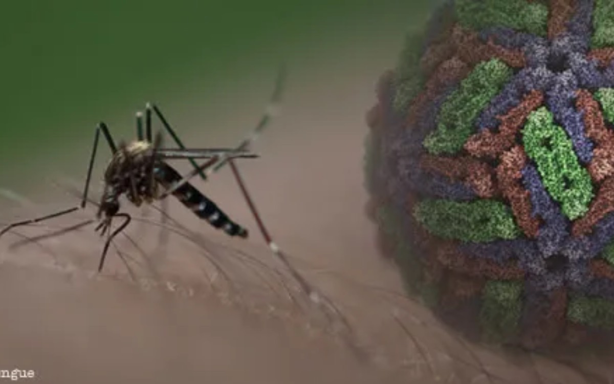 Brasil supera los 500 mil casos de dengue en 2024; Río de Janeiro declara emergencia sanitaria