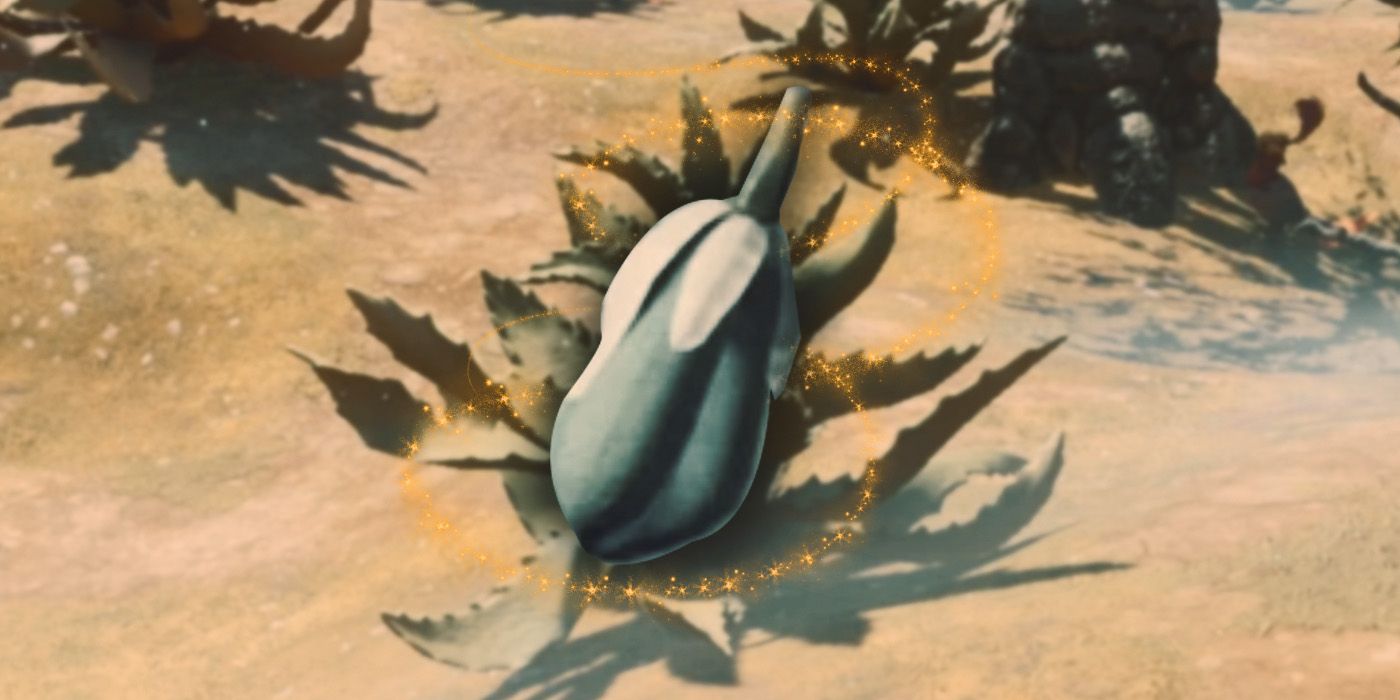 Cómo obtener (y usar) fruta de yuca envuelta