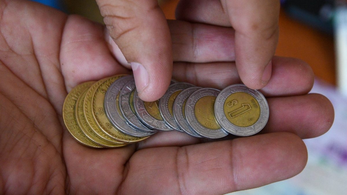 Consumo privado habría aumentado 0.1% en enero: Inegi