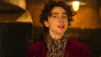 El director de Wonka aborda la popular teoría de los fanáticos de Charlie Bucket