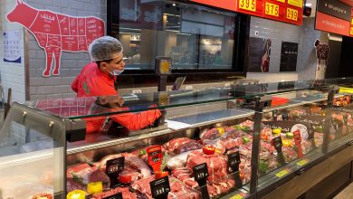 Francia prohíbe llamar 'bistec' a productos hechos con proteínas vegetales