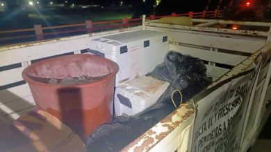 Identifican a tres de ocho cuerpos de personas hallados en Tuxpan