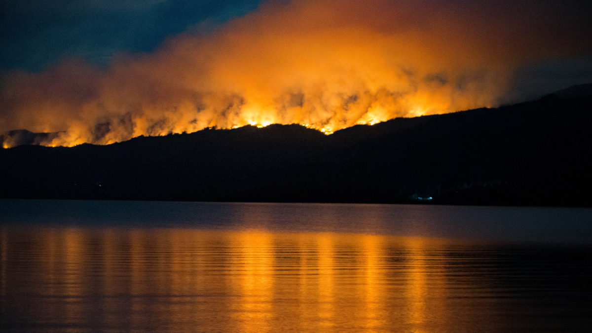 Incendio en un parque de la Patagonia argentina arrasa con más de 2 mil hectáreas | Video