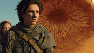 La "Unidad de gusanos" de Dune 2 y cómo ayudó a filmar escenas de montar gusanos de arena explicadas por el director