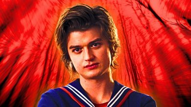 La actualización de Steve de la temporada 5 de Stranger Things debería hacerte dar un suspiro de alivio