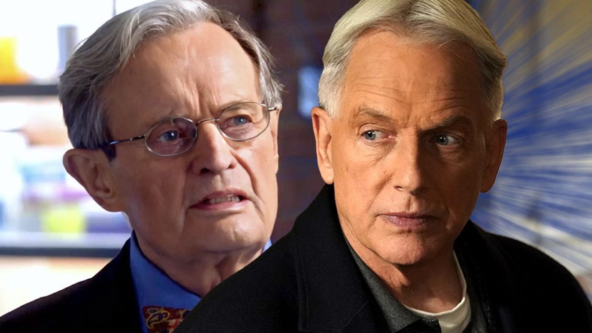 La ausencia de Gibbs en el episodio tributo a Ducky de la temporada 21 de NCIS explicada con franqueza por el co-showrunner