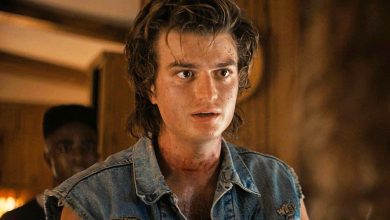 La estrella de Stranger Things promete "cosas buenas" para Steve en la temporada 5