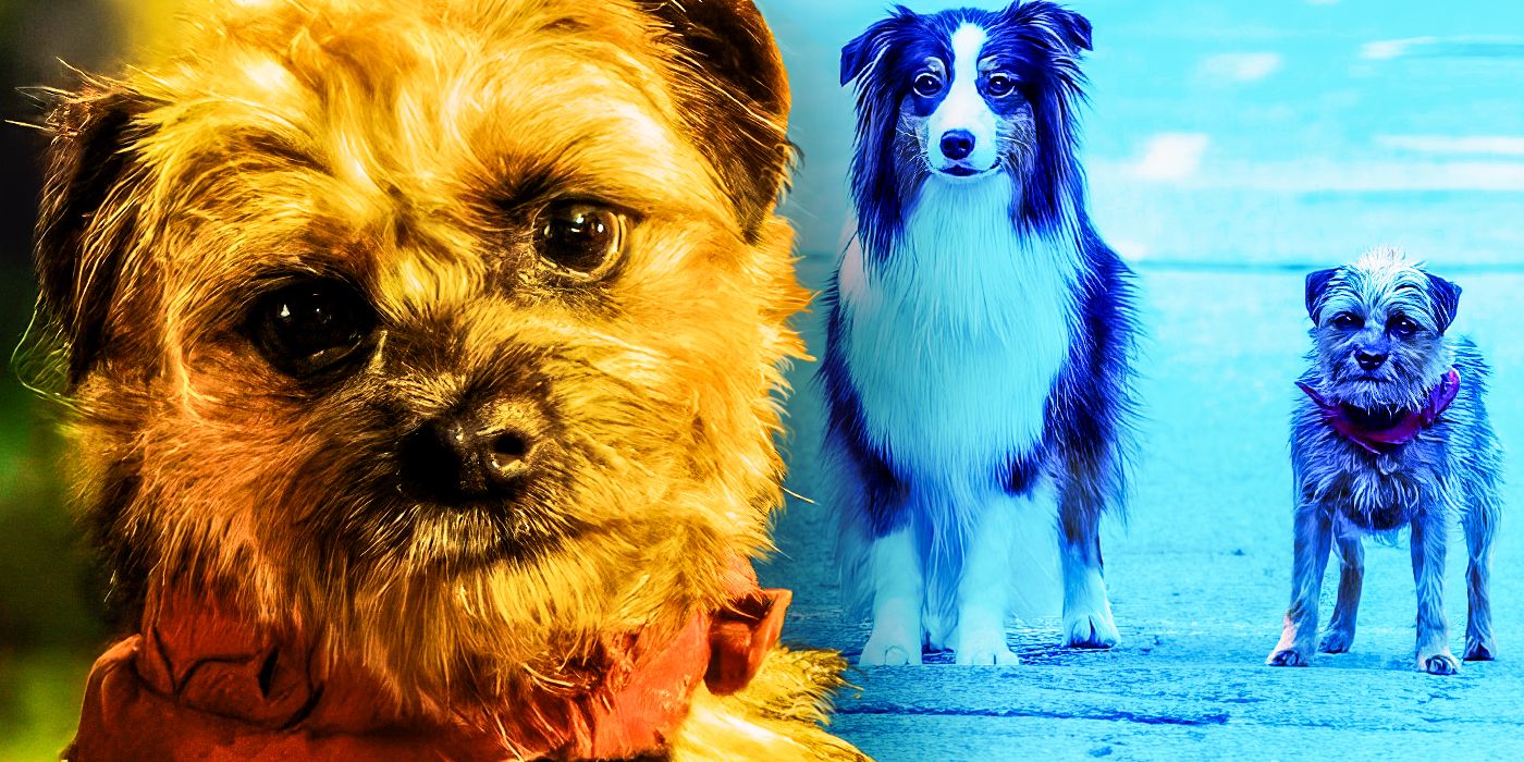 La próxima película de Will Ferrell redimirá su bomba de 46 millones de dólares del año pasado (y puede superar su récord de taquilla de 10 años)