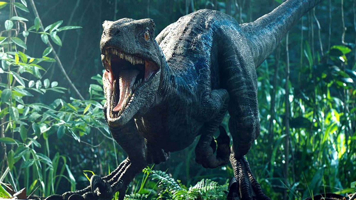 Las conversaciones con el director de Jurassic World 4 fracasan, la búsqueda continúa mientras la secuela apunta al lanzamiento en el verano de 2025