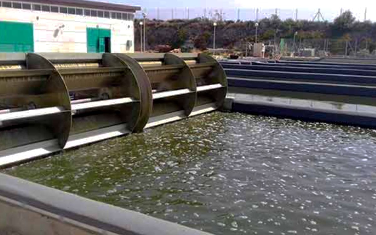 Regar cultivos con aguas residuales tratadas, una solución a la sequía: UNAM