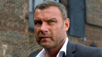 Spinoff de Ray Donovan confirmado con Guy Ritchie listo para dirigir