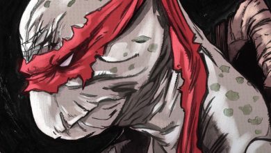 TMNT revela el desgarrador destino final de Raphael