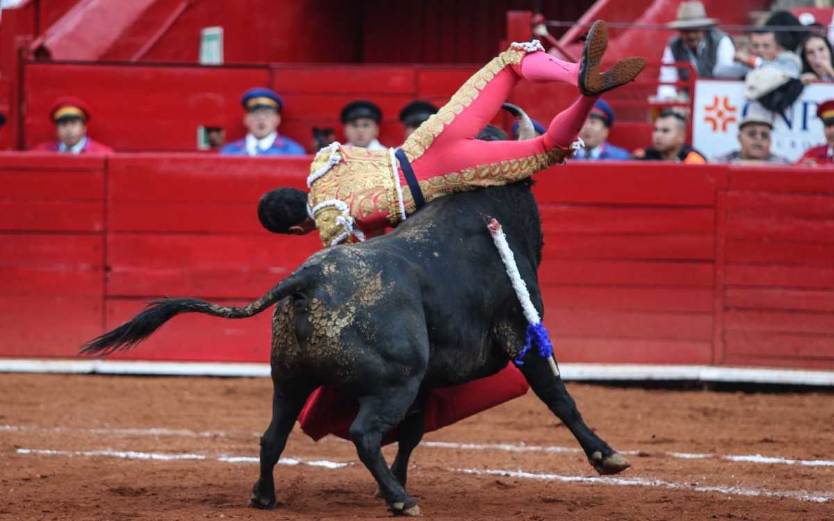 Torero sufre cornada en la Plaza México