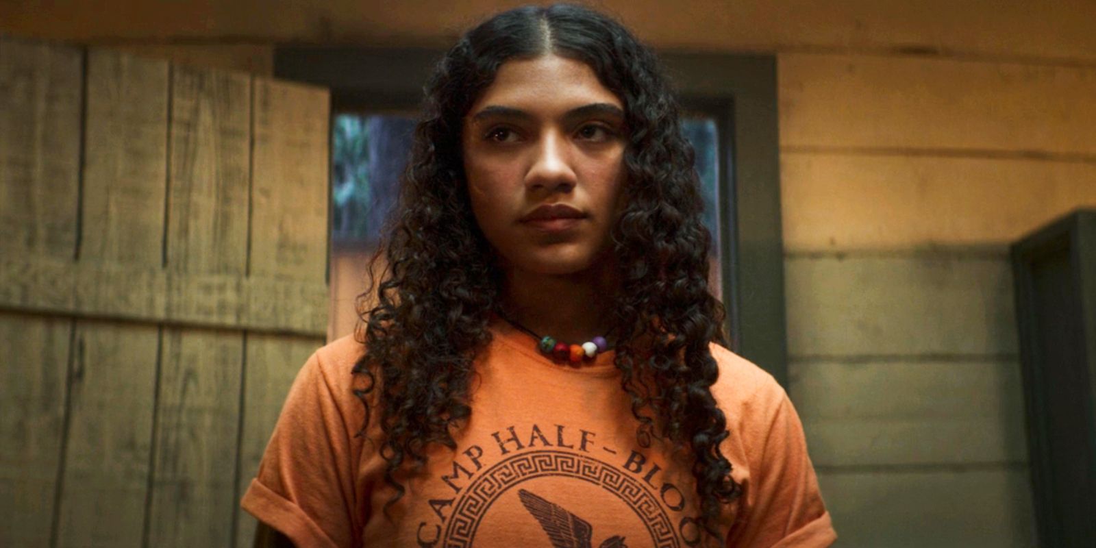 Trilogía de películas derivadas de Percy Jackson cancelada en Netflix