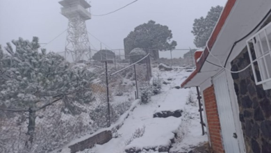 Videos | Nieve cubre de blanco partes de CDMX y Valle de Toluca