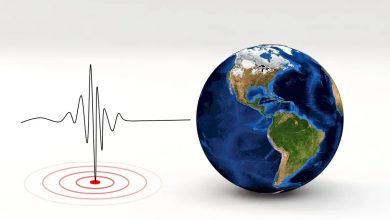 Videos | Temblor de 4.6 sacude a Los Ángeles, California