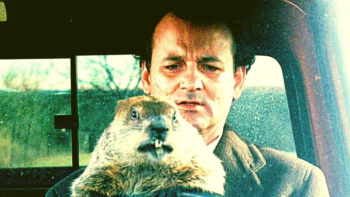 ¿Cuántas veces Phil de Bill Murray revive el día de la marmota en la película?