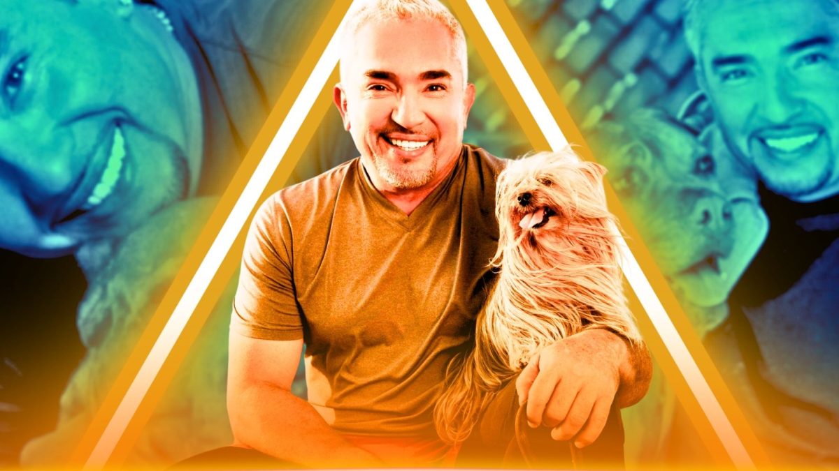 ¿Qué pasó con César Millán después de que terminó su show Dog Whisperer?