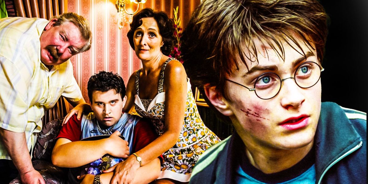 ¿Qué pasó con los Dursley después de que terminó Harry Potter?