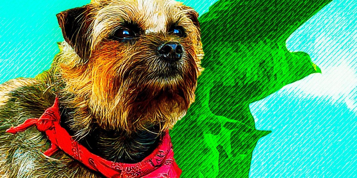 Las 10 escenas más divertidas de Strays, clasificadas