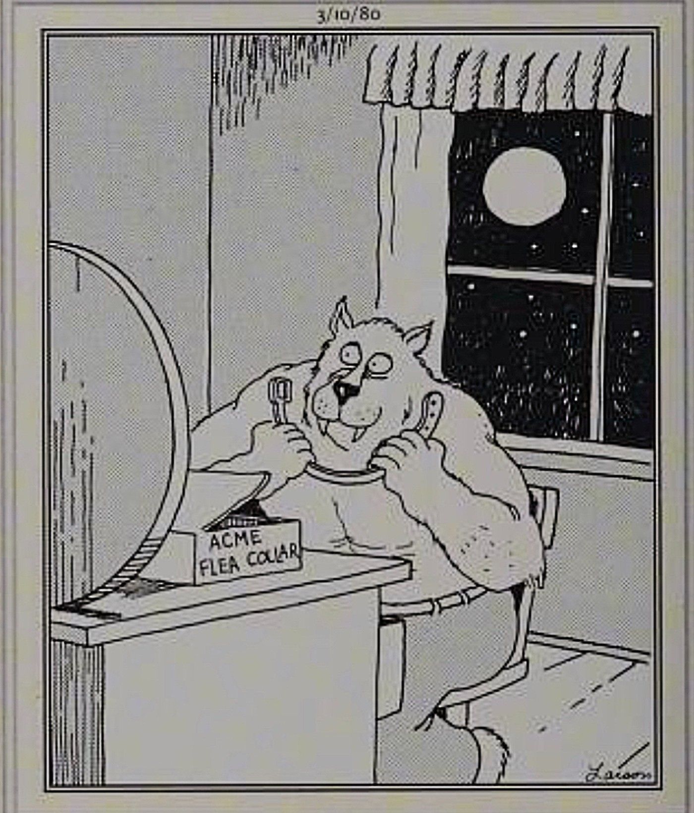 Far Side, hombre lobo poniéndose el collar antipulgas Acme