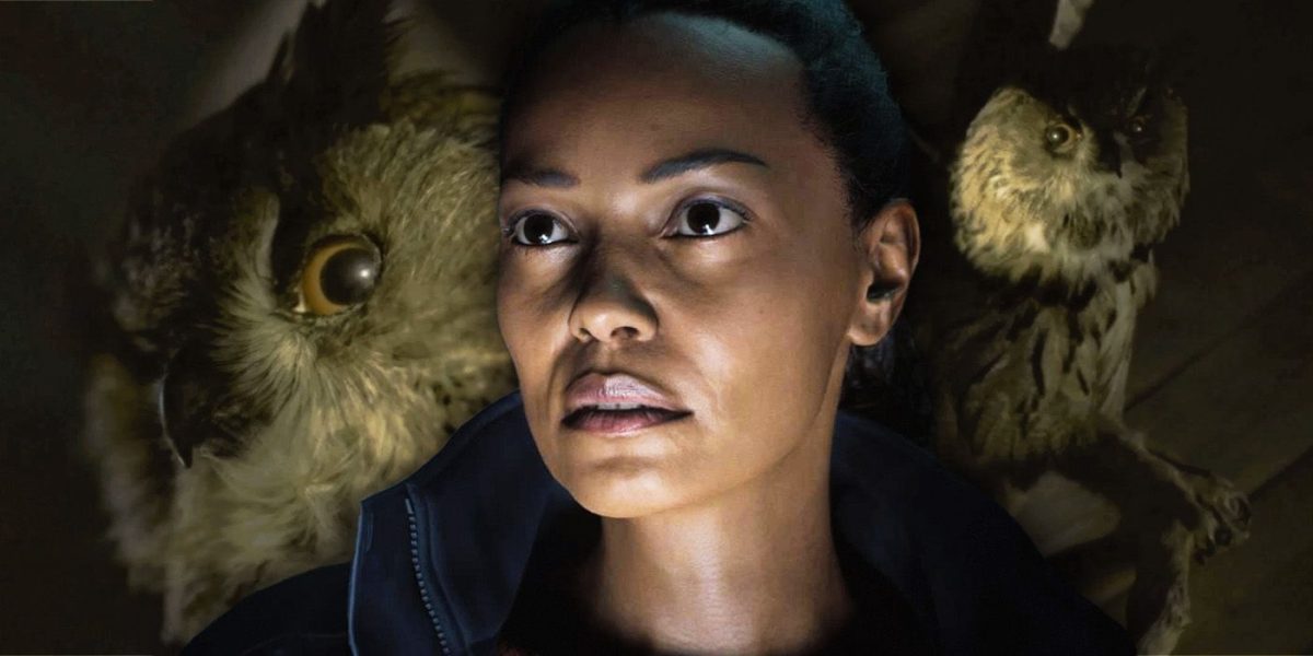 Los búhos de Alan Wake 2 no son lo que parecen (probablemente)