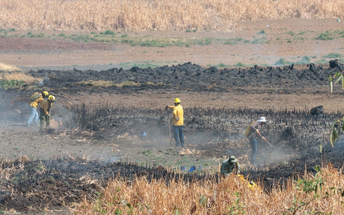 Edomex enfrenta fuegos con ‘dimensiones devastadoras’: Probosque