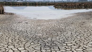 El Niño se debilita pero mantendrá altas las temperaturas: Organización Meteorológica Mundial