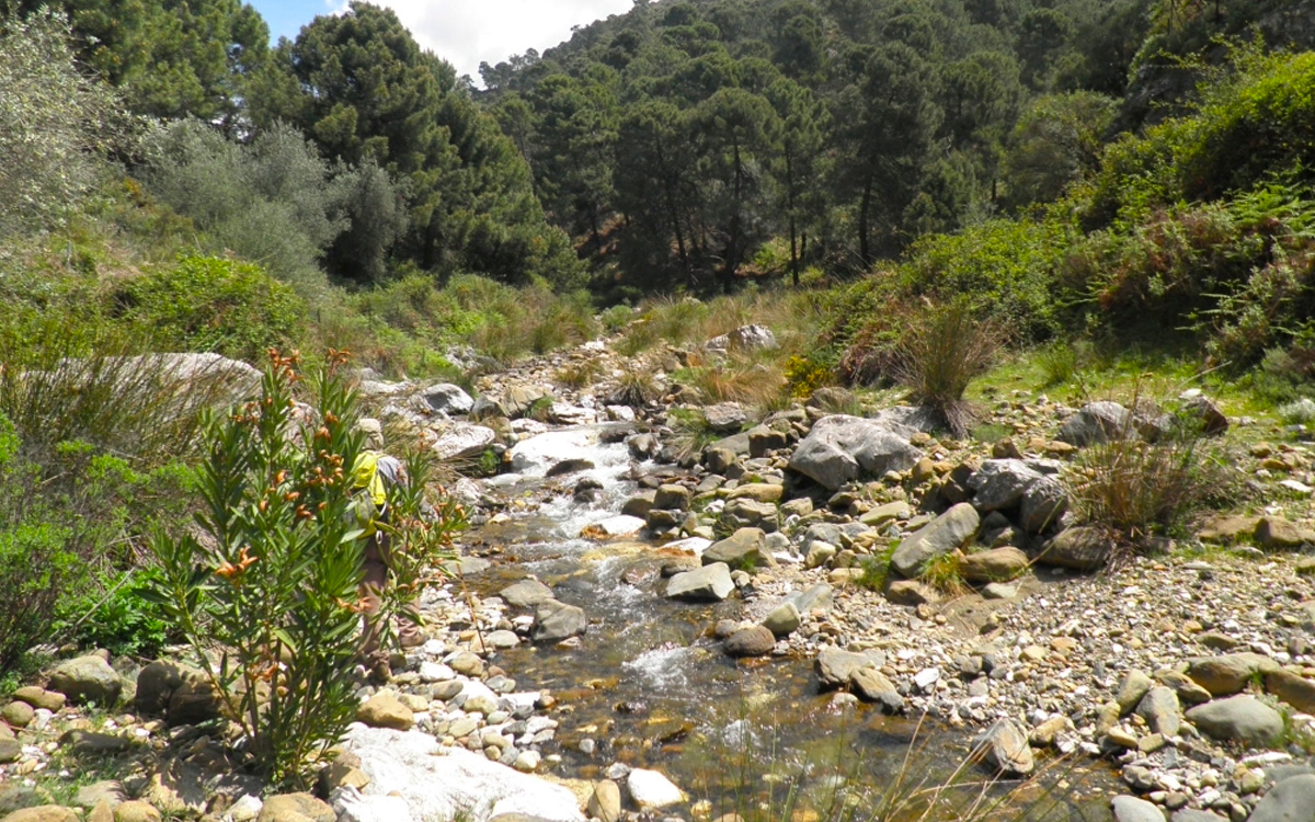 El cambio climático está alterando el caudal de los ríos de Europa, Rusia y América y amenaza la seguridad hídrica
