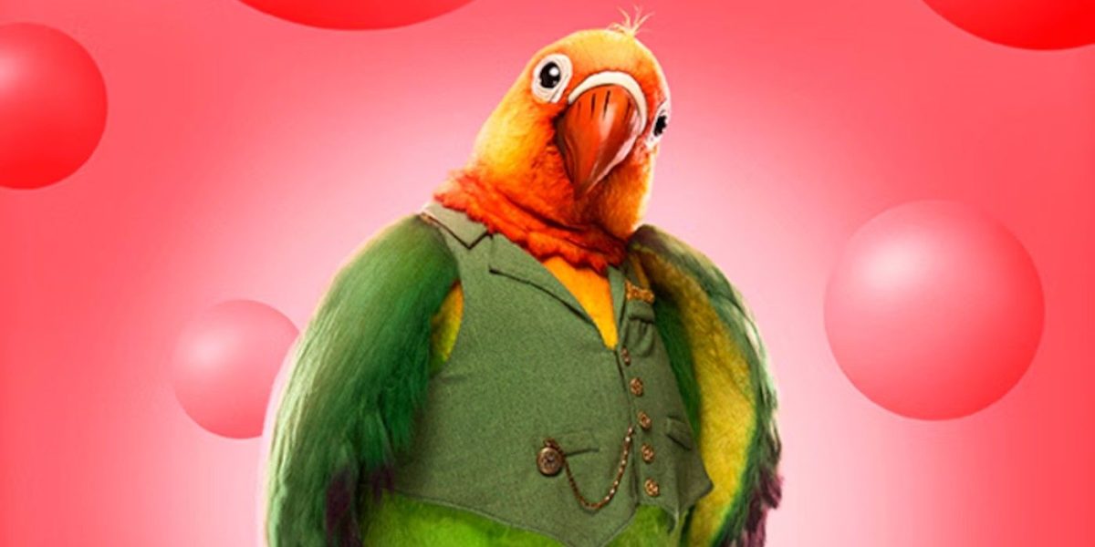 El cantante enmascarado: predicción y pistas sobre la identidad del agapornis