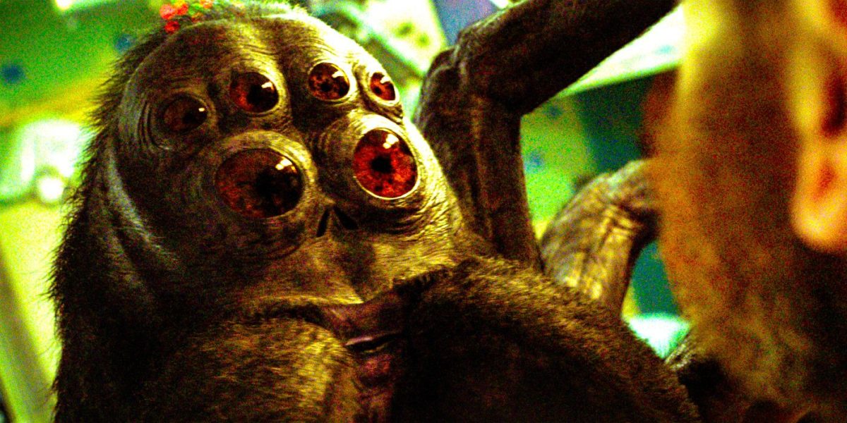 El director de Spaceman pregunta si la araña Hanuš era real