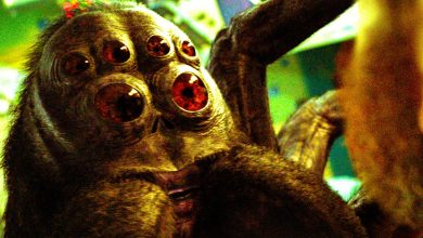 El director de Spaceman pregunta si la araña Hanuš era real