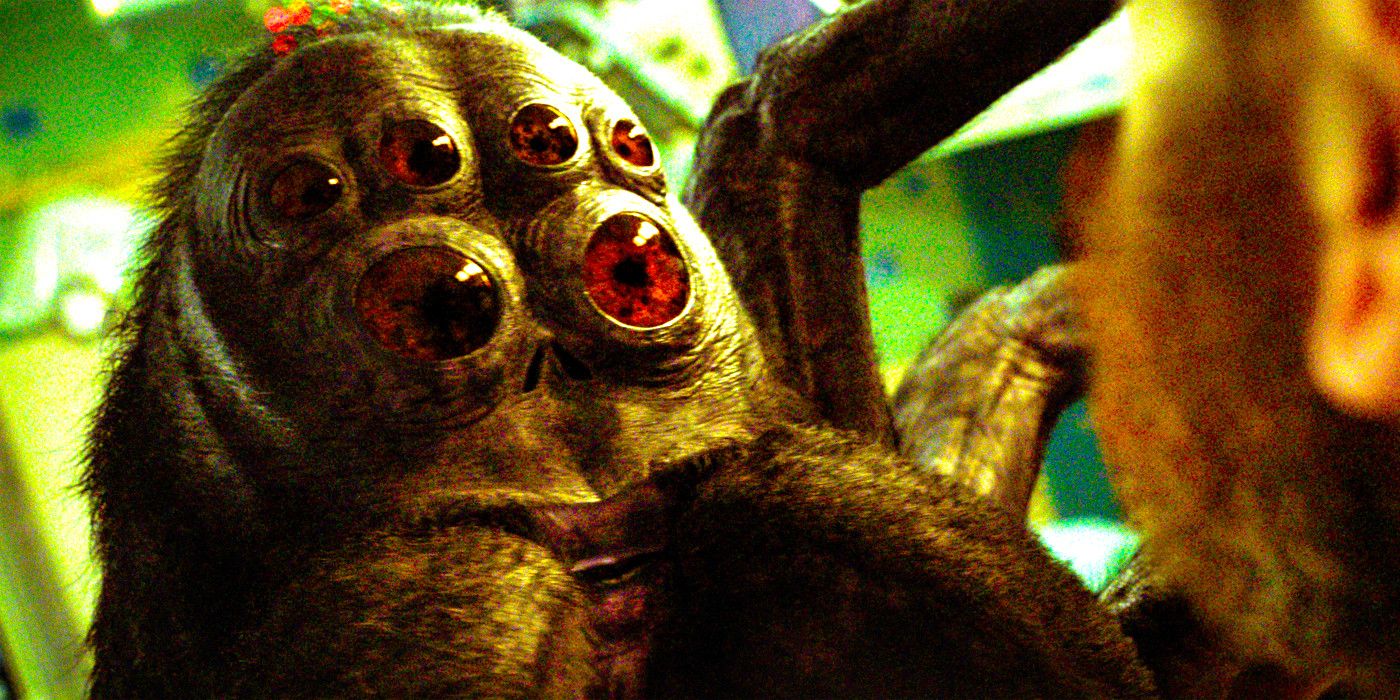 El director de Spaceman pregunta si la araña Hanuš era real