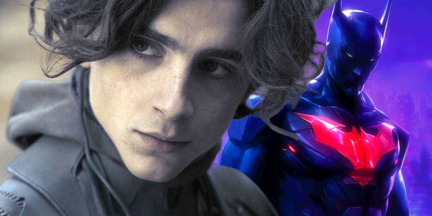 El mejor casting de una película de DC de Timothée Chalamet reviviría la película perdida de Batman del DCEU