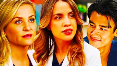 El nuevo doctor de la temporada 20 de Grey's Anatomy adelanta un nuevo romance candente